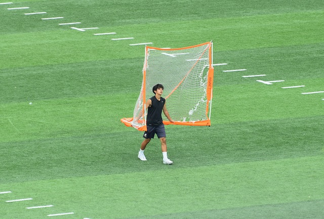 亮点分析
