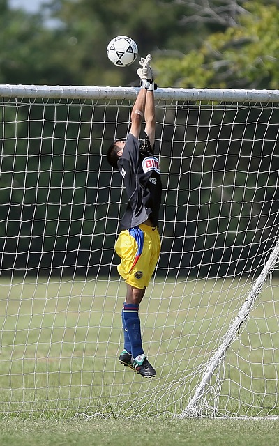 社交的桥梁 社交的桥梁