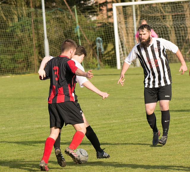 他们无疑期 他们无疑期