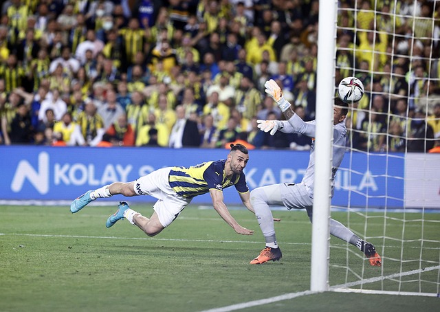 据场边数据 据场边数据