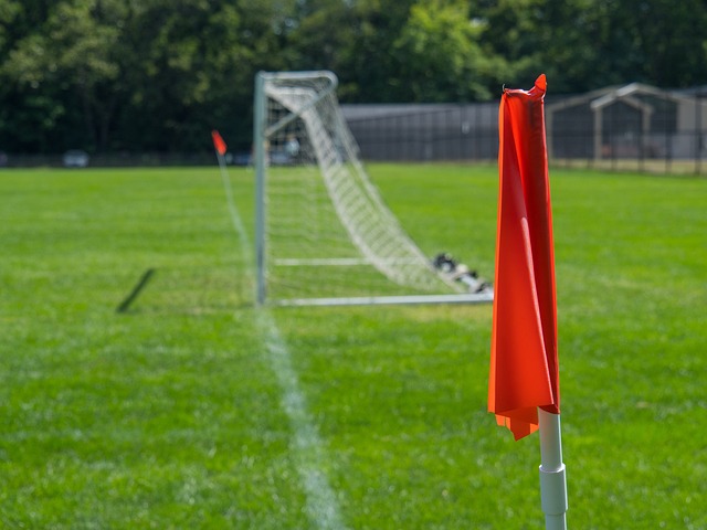 来自不同国 来自不同国