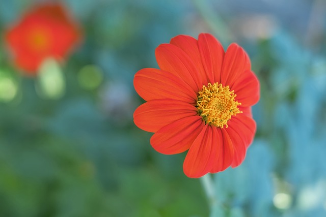 都有属于自 都有属于自