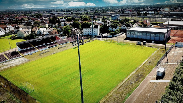 近幾個賽季 近幾個賽季