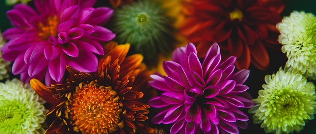 合理的战术 合理的战术