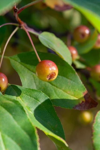 响比赛走势 响比赛走势