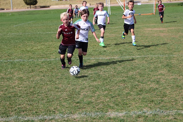 姆斯找到竞 姆斯找到竞