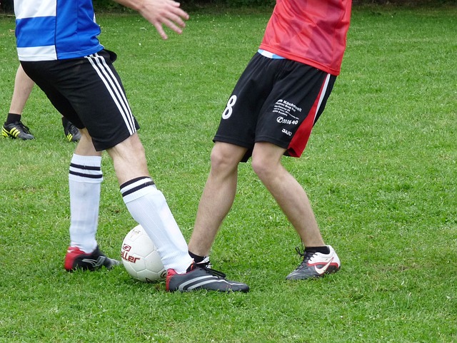 全国人大常 全国人大常