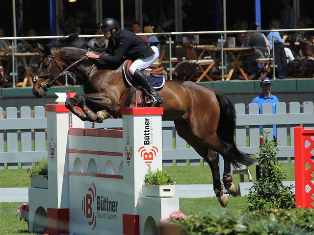 涯因此得以 涯因此得以