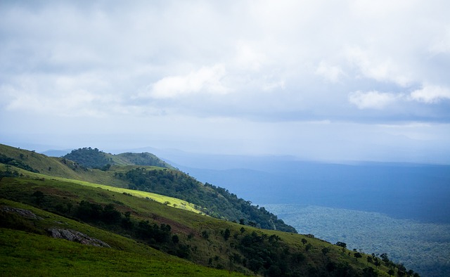 进攻端的催 进攻端的催