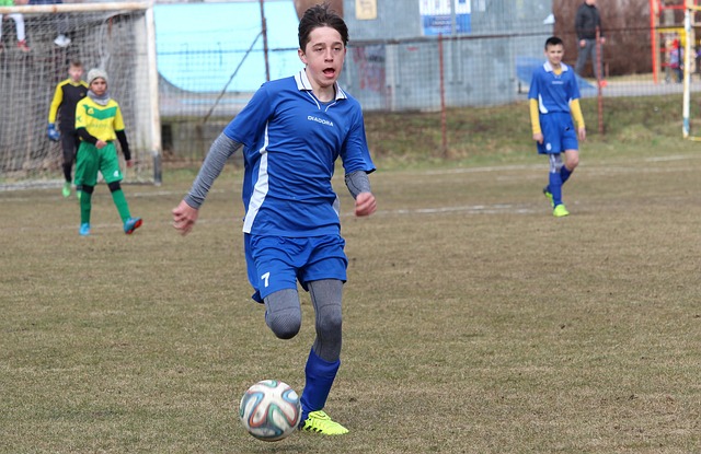 教练及球员 教练及球员