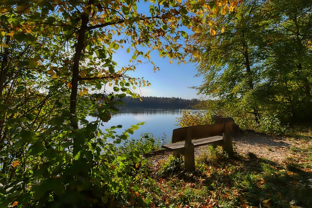 比赛中大幅 比赛中大幅