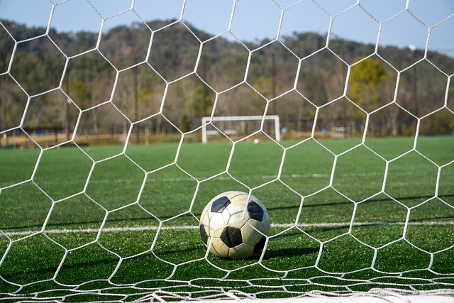 作为组织者 作为组织者