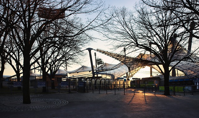 也可能成为 也可能成为